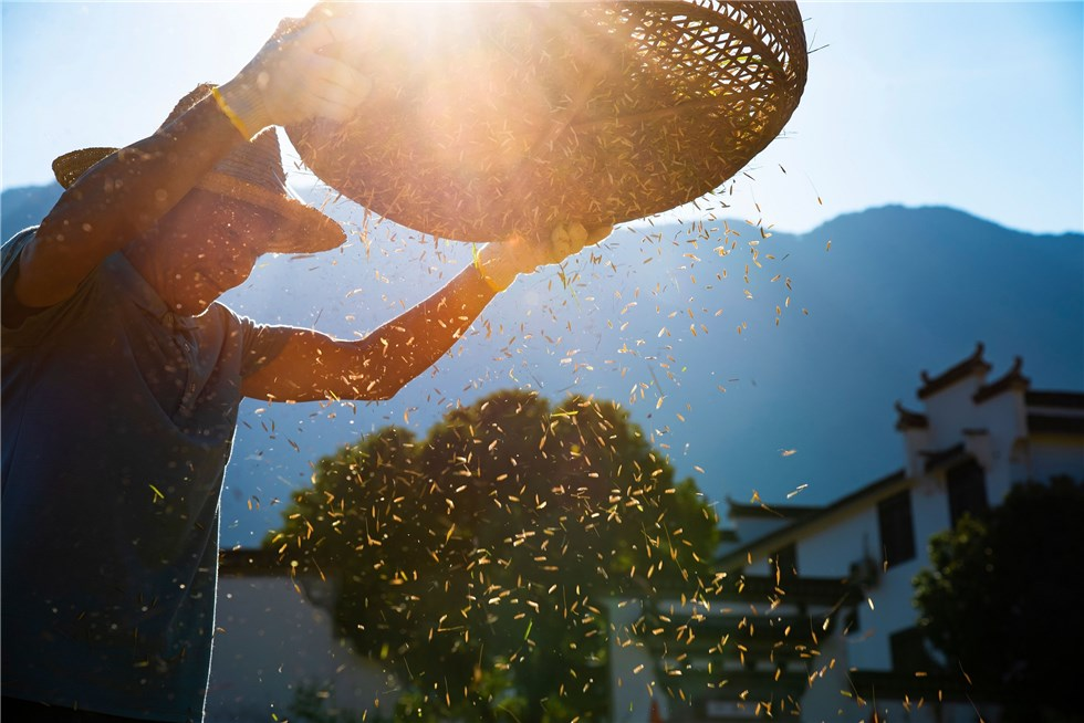 石台县特产富硒茶（石台富硒产品）-硒宝网