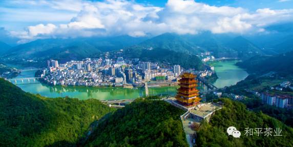 岚皋县秦巴富硒茶(岚皋县秦巴富硒茶业有限公司)-硒宝网