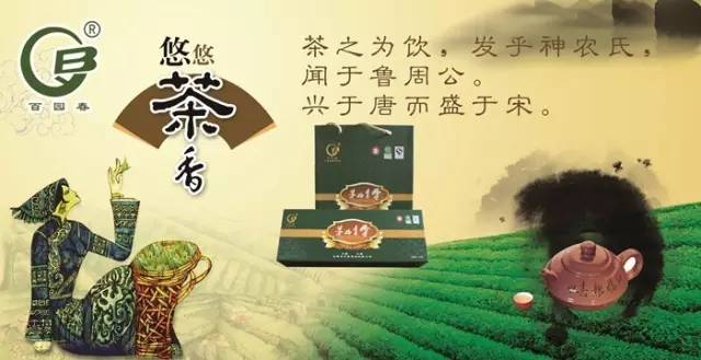 黄金芽和富硒野茶（生态好茶黄金芽茶叶价格）-硒宝网