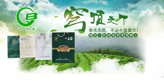 黄金芽和富硒野茶（生态好茶黄金芽茶叶价格）-硒宝网