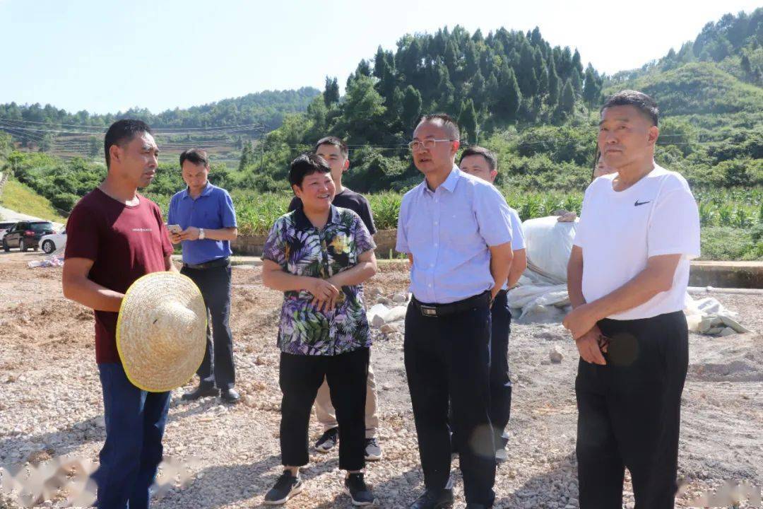 高质量富硒茶公司(富硒茶排名)-硒宝网