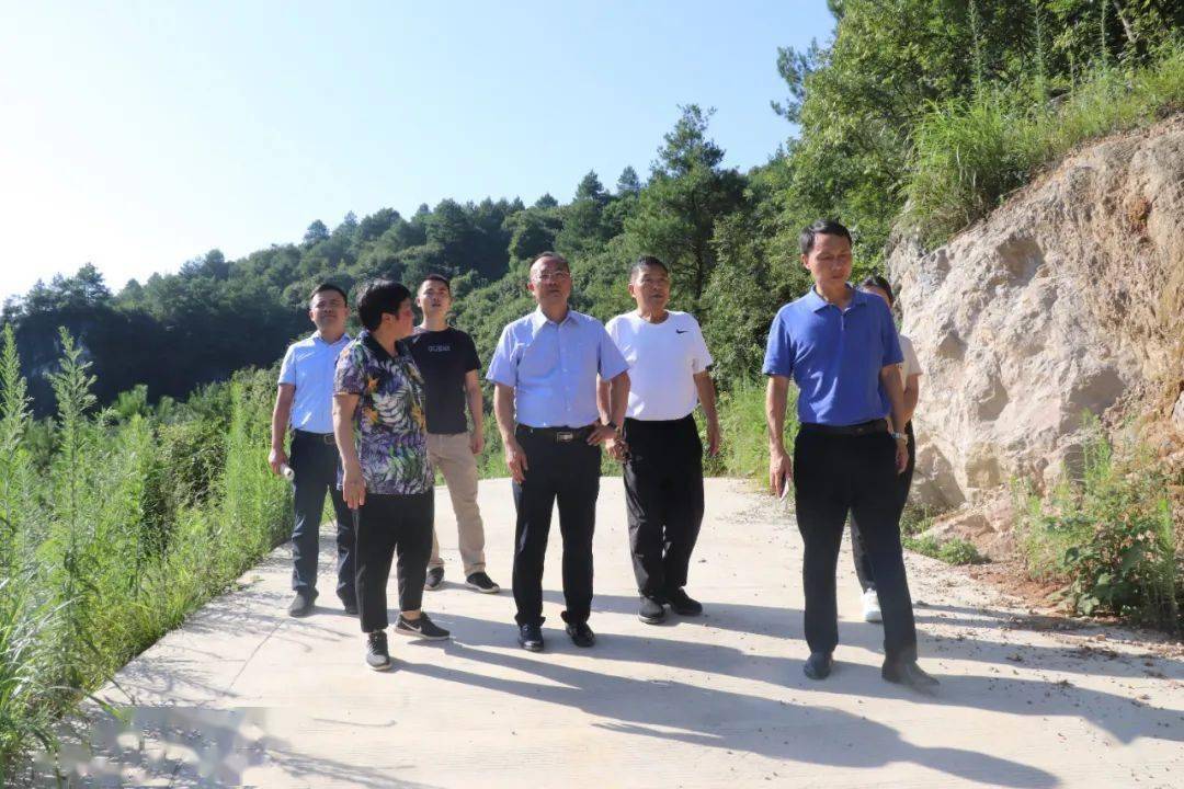 高质量富硒茶公司(富硒茶排名)-硒宝网