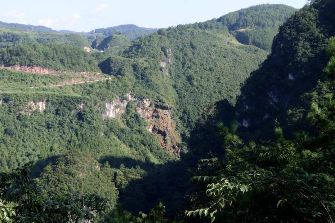 高质量富硒茶公司(富硒茶排名)-硒宝网