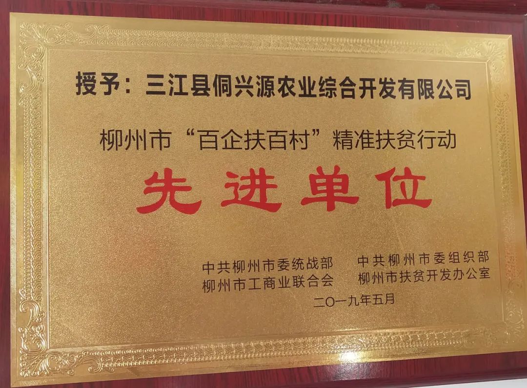 黄金芽和富硒野茶（黄金芽黄茶）-硒宝网