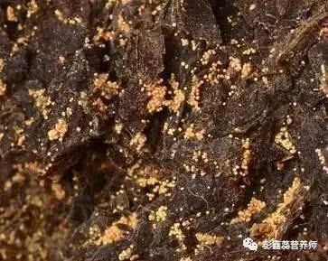 糖尿病人喝富硒茶(病人喝茶糖尿富硒好吗)-硒宝网