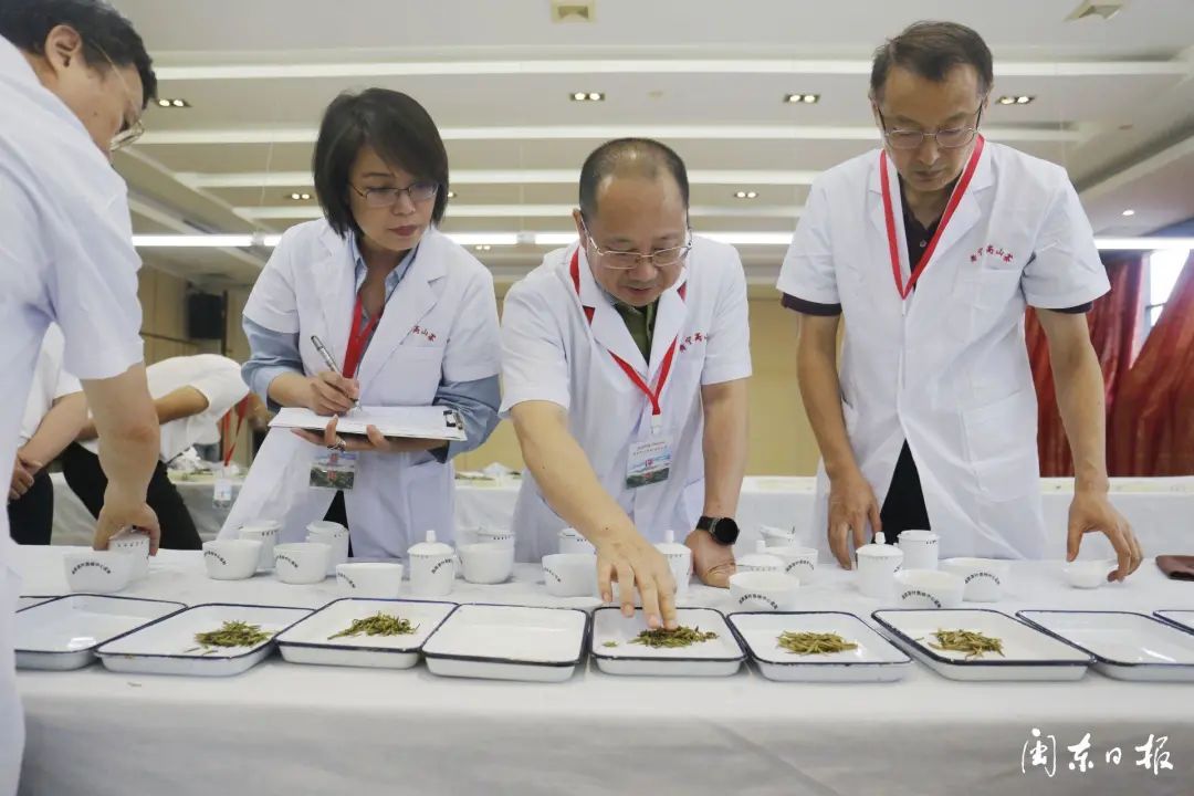 福建富硒茶多少钱(诏安富硒茶价位)-硒宝网