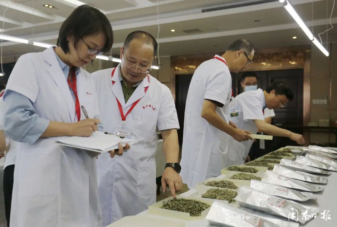 福建富硒茶多少钱(诏安富硒茶价位)-硒宝网