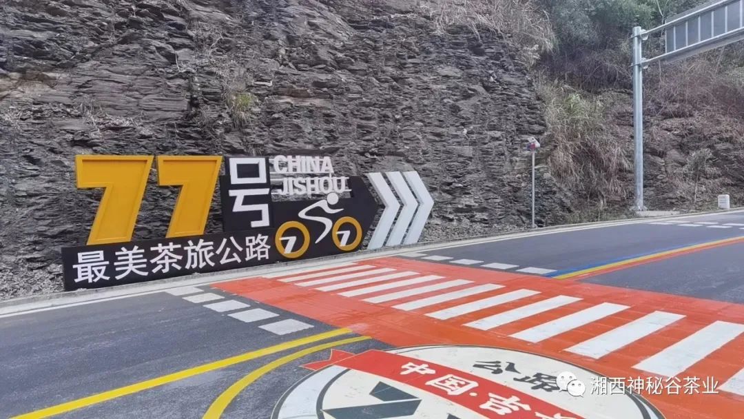 黄金芽和富硒野茶(生态黄金芽茶纯手工价格)-硒宝网