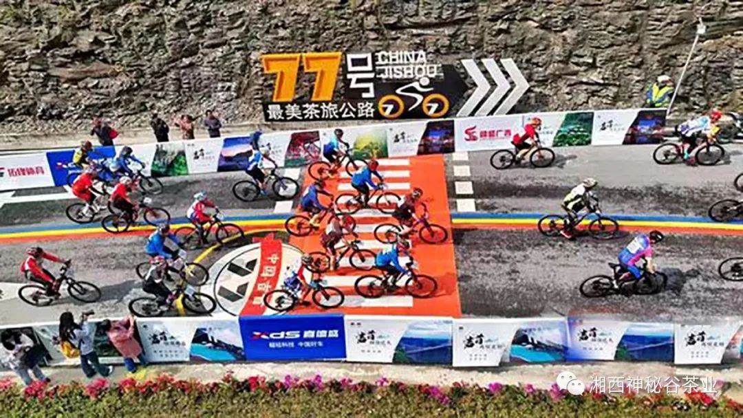 黄金芽和富硒野茶(生态黄金芽茶纯手工价格)-硒宝网