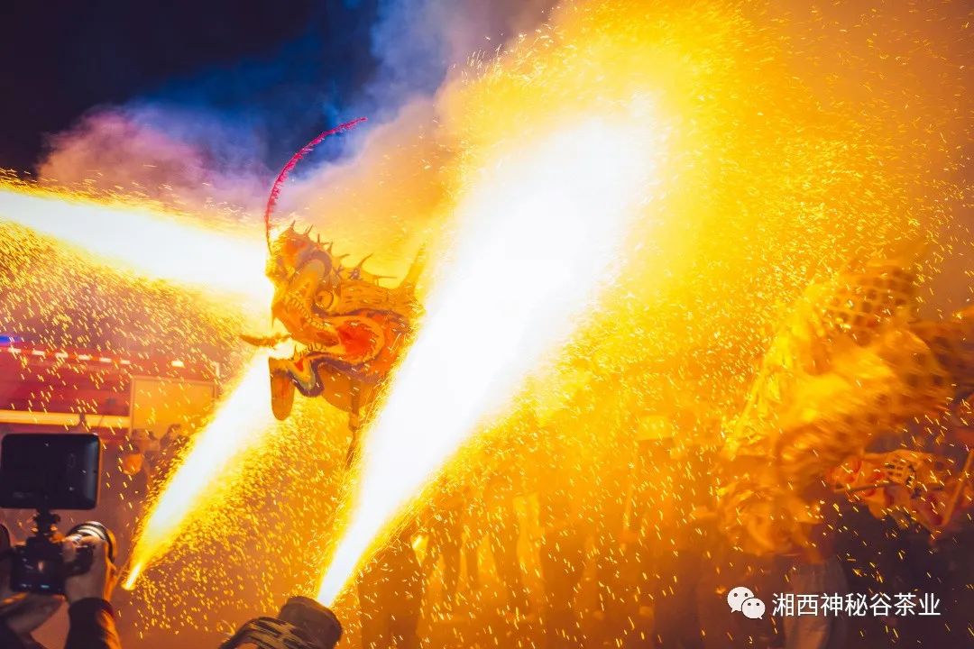 黄金芽和富硒野茶(生态黄金芽茶纯手工价格)-硒宝网