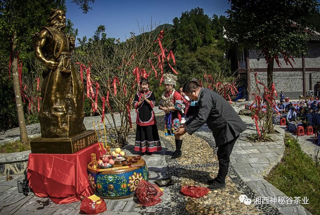 黄金芽和富硒野茶(生态黄金芽茶纯手工价格)-硒宝网
