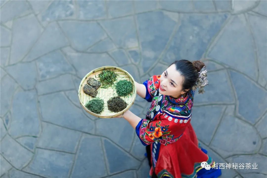 黄金芽和富硒野茶(生态黄金芽茶纯手工价格)-硒宝网