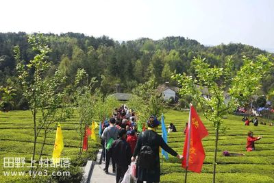 潘家湾天然富硒茶(恩施富硒茶属于什么茶)-硒宝网