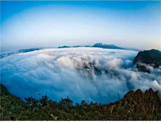 猫山富硒茶怎么样（猫山富硒茶怎么样）-硒宝网