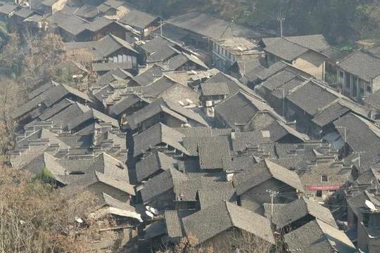 猫山富硒茶怎么样（猫山富硒茶怎么样）-硒宝网