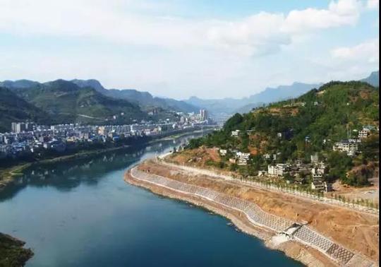 猫山富硒茶怎么样（猫山富硒茶怎么样）-硒宝网