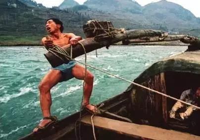 猫山富硒茶怎么样（猫山富硒茶怎么样）-硒宝网