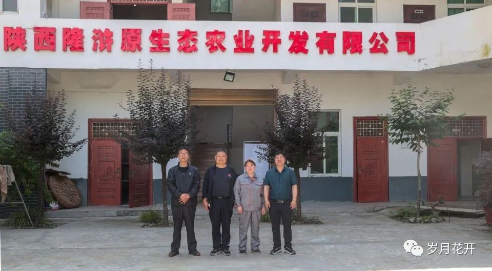 隆浒原生态富硒茶（富硒茶与蒲公英茶）-硒宝网