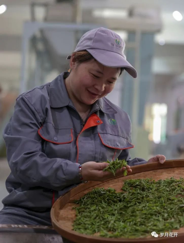 隆浒原生态富硒茶（富硒茶与蒲公英茶）-硒宝网