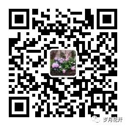 隆浒原生态富硒茶（富硒茶与蒲公英茶）-硒宝网