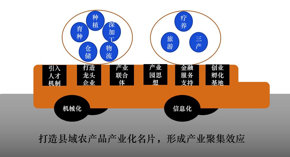 平利县新强富硒茶（平利富硒绿茶）-硒宝网