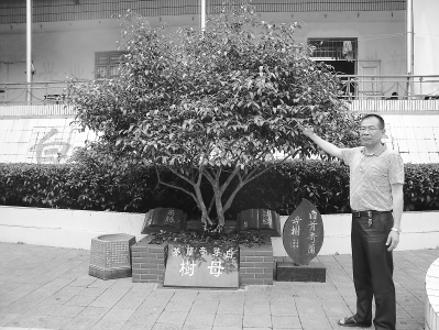 富硒奇兰茶原生态(兰q茶有什么功效)-硒宝网