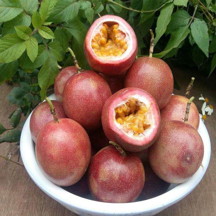 长喝富硒茶有用吗（喝富硒茶能补硒吗）-硒宝网