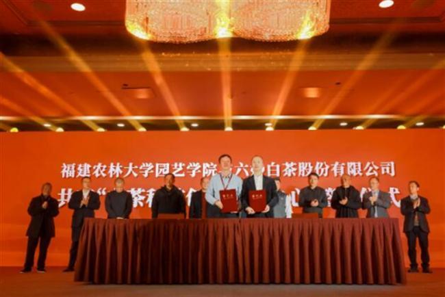 万源富硒茶的优势(万源富硒茶叶)-硒宝网