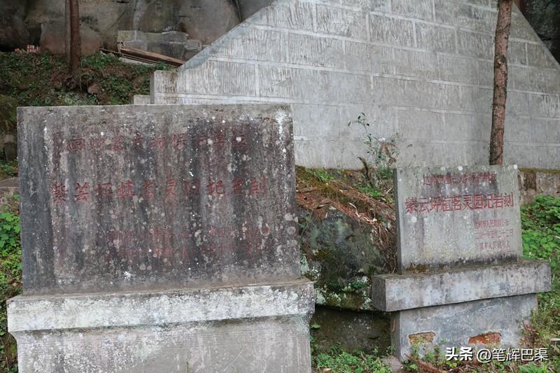 万源富硒茶哪里买(万源富硒茶叶)-硒宝网