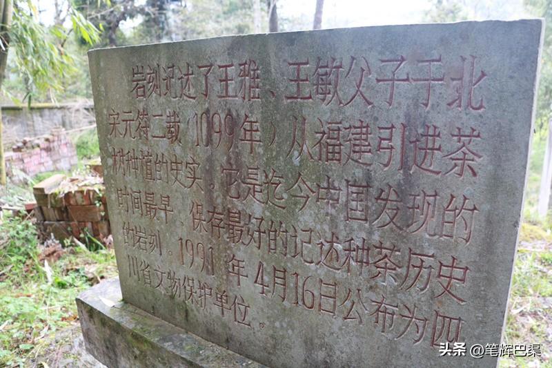 万源富硒茶哪里买(万源富硒茶叶)-硒宝网