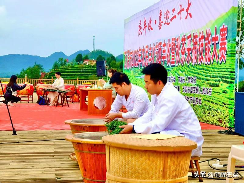 万源富硒茶哪里买(万源富硒茶叶)-硒宝网