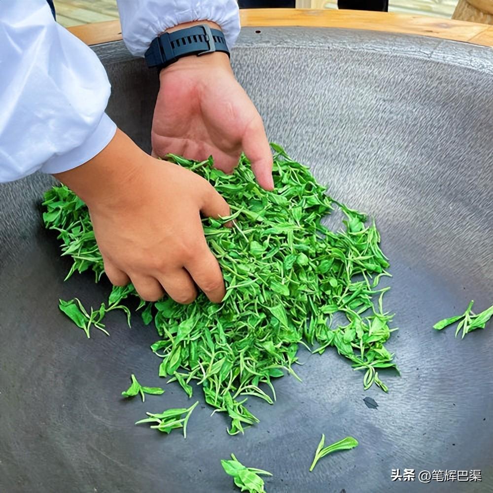 万源富硒茶哪里买(万源富硒茶叶)-硒宝网