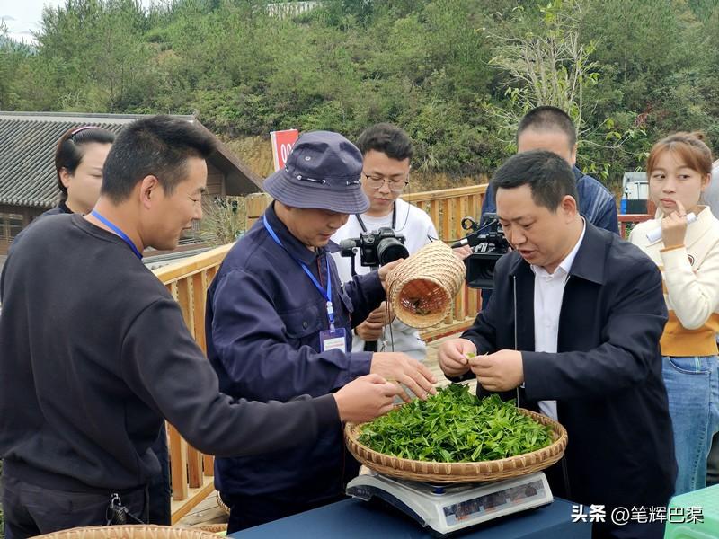 万源富硒茶哪里买(万源富硒茶叶)-硒宝网