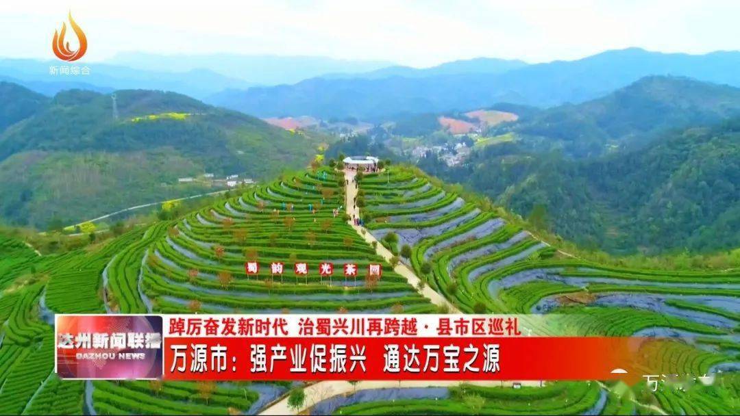 万源富硒茶的好处（富硒茶的营养价值）-硒宝网