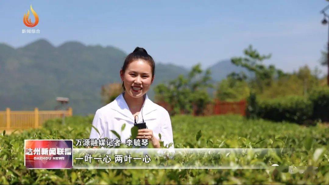 万源富硒茶的好处（富硒茶的营养价值）-硒宝网