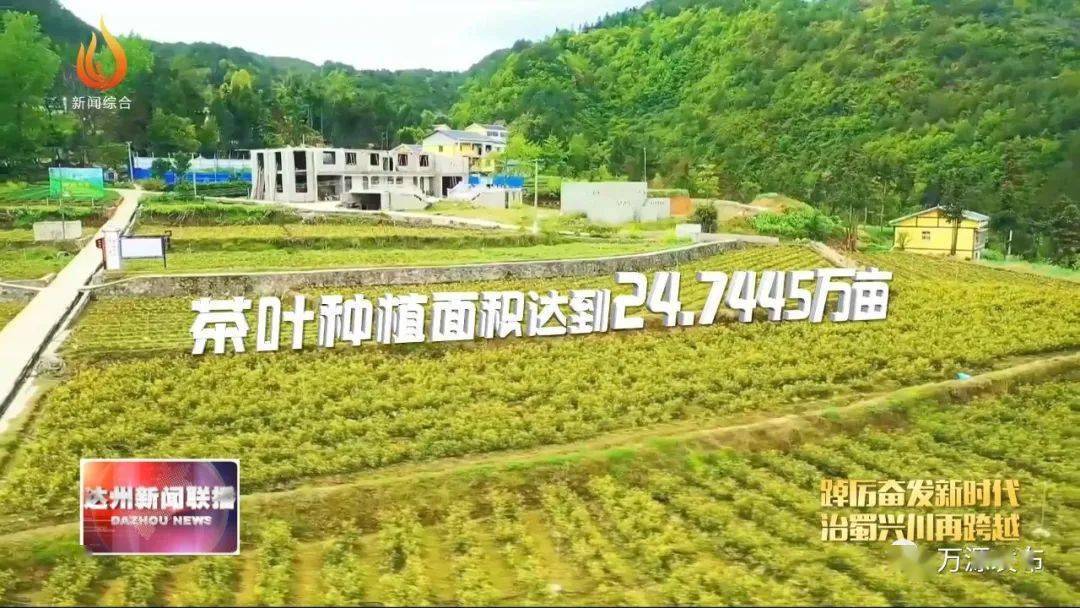 万源富硒茶的好处（富硒茶的营养价值）-硒宝网