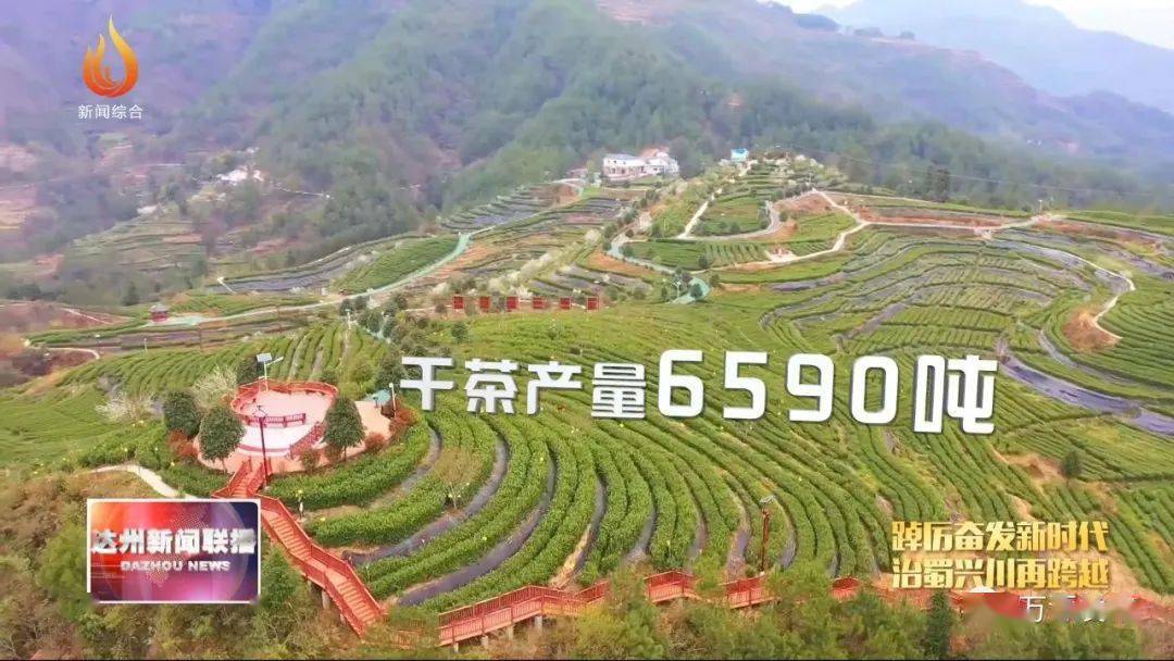 万源富硒茶的好处（富硒茶的营养价值）-硒宝网