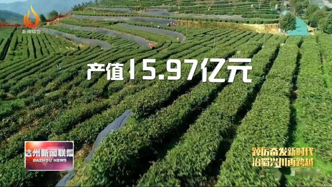 万源富硒茶的好处（富硒茶的营养价值）-硒宝网