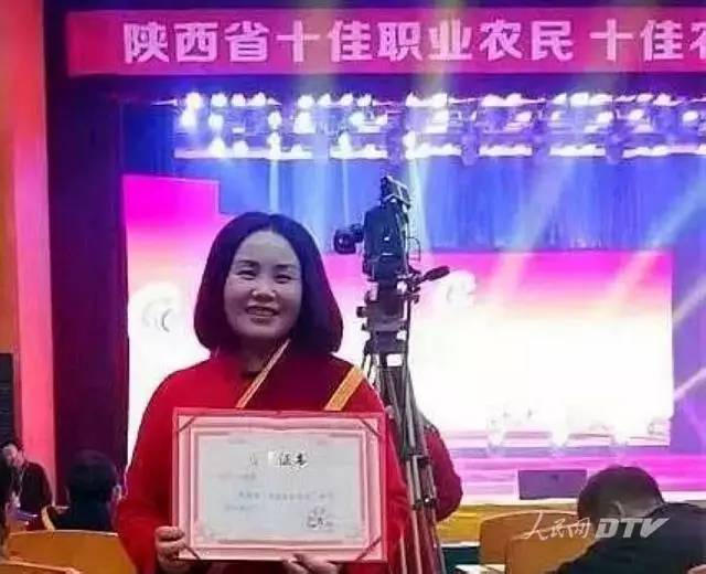 千亩富硒金茶基地（富硒茶的产地）-硒宝网