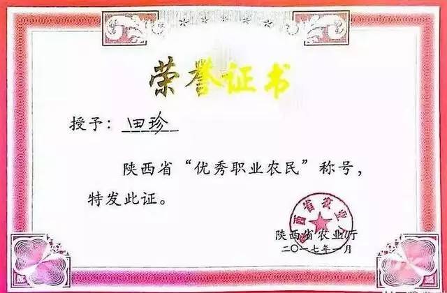 千亩富硒金茶基地（富硒茶的产地）-硒宝网