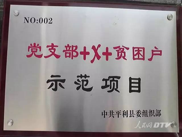 千亩富硒金茶基地（富硒茶的产地）-硒宝网