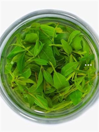 富硒普洱茶生产商(富硒茶产品的市场分析)-硒宝网