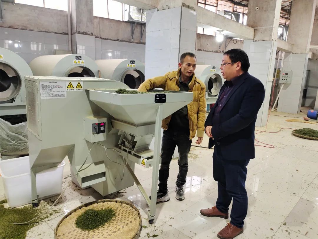 四川富硒茶多少钱(富硒茶庄)-硒宝网