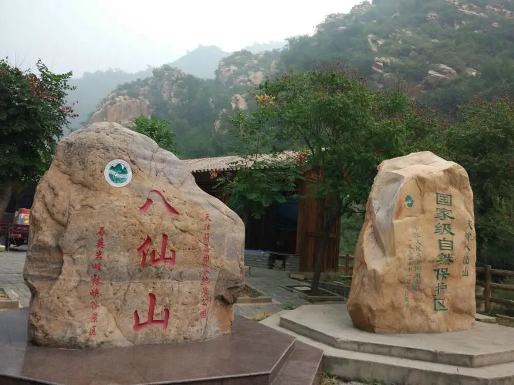 富硒八仙茶怎么样(富硒八仙茶是什么种类)-硒宝网