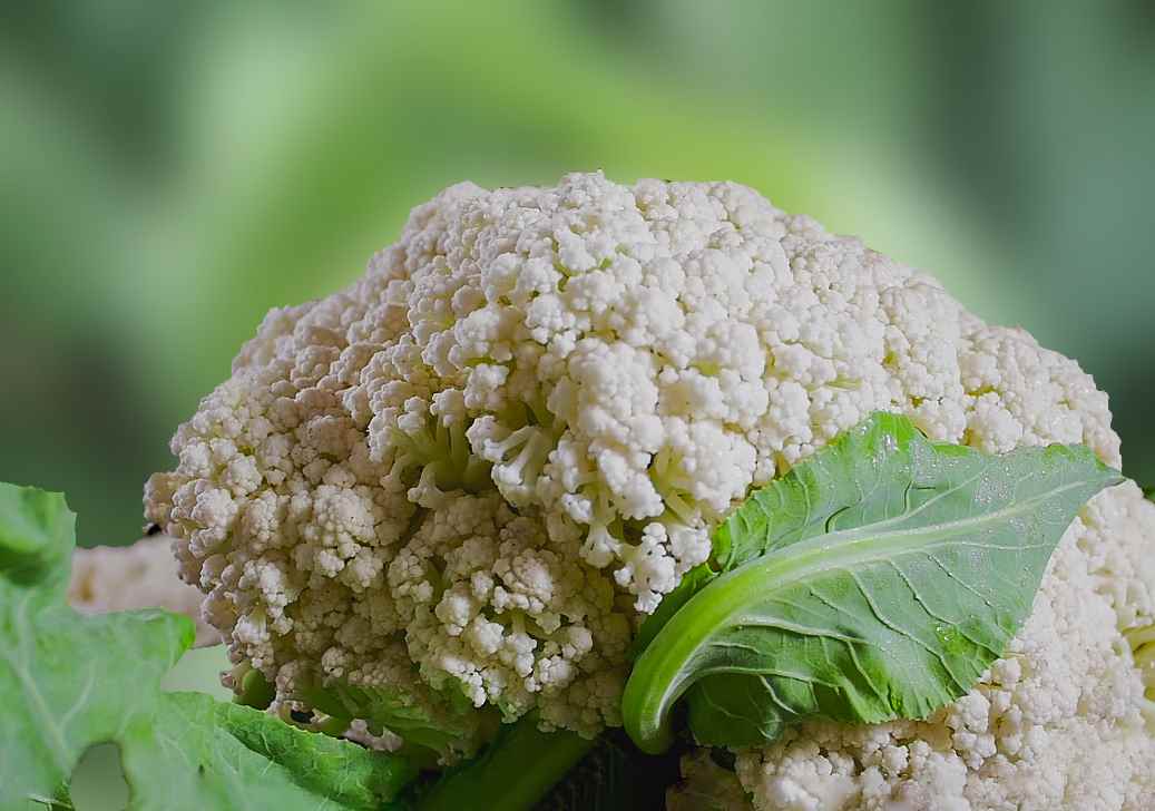 富硒八仙茶生产商（诏安富硒八仙茶）-硒宝网