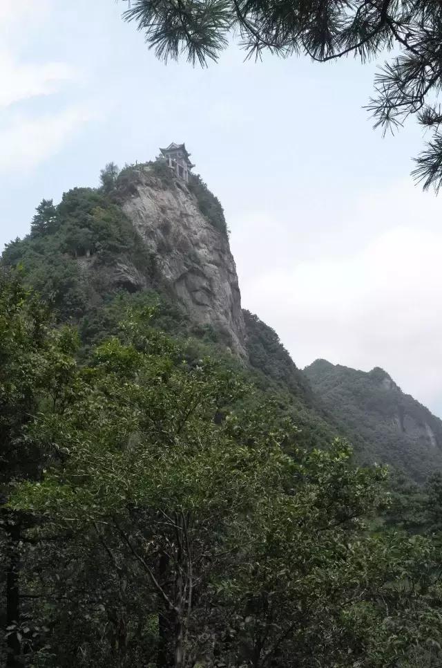 京康富硒茶价格表(京康茶业)-硒宝网