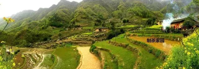 京康富硒茶价格表(京康茶业)-硒宝网