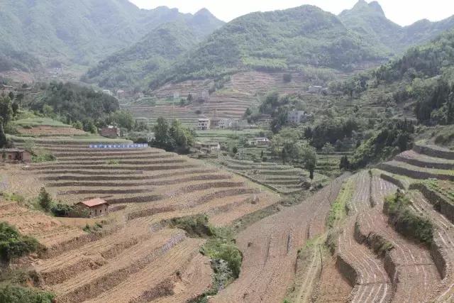 京康富硒茶价格表(京康茶业)-硒宝网