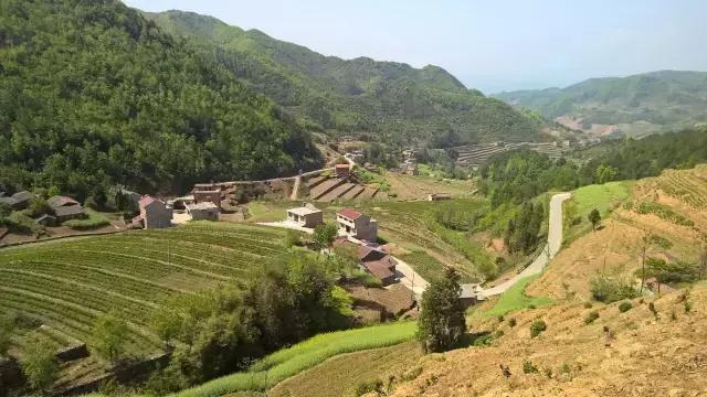 京康富硒茶价格表(京康茶业)-硒宝网