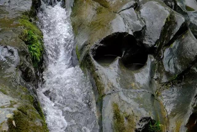 京康富硒茶价格表(京康茶业)-硒宝网